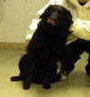 Mk-Midnite - ADOPTED 03.14.14