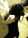 Mk-Midnite - ADOPTED 03.14.14