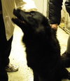 Mk-Midnite - ADOPTED 03.14.14