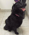 Mk-Midnite - ADOPTED 03.14.14