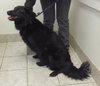 Mk-Midnite - ADOPTED 03.14.14