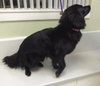 Mk-Midnite - ADOPTED 03.14.14
