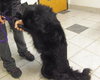 Mk-Midnite - ADOPTED 03.14.14
