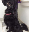 Mk-Midnite - ADOPTED 03.14.14