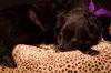 Mk-Midnite - ADOPTED 03.14.14