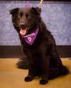 Mk-Midnite - ADOPTED 03.14.14