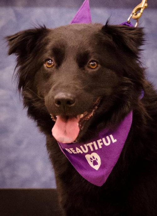 Mk-Midnite - ADOPTED 03.14.14