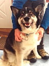 Shobe - ADOPTED 04.09.14