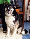 Shobe - ADOPTED 04.09.14