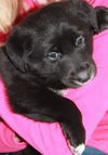 Qk Litter Melissa - ADOPTED 03.05.14