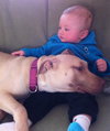 Sweetie - ADOPTED 03.20.14