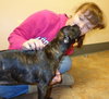 Smudgy - ADOPTED 04.09.14