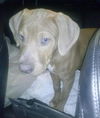 Token - ADOPTED 03.09.14
