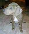 Token - ADOPTED 03.09.14