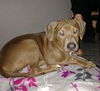 Token - ADOPTED 03.09.14