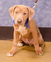Token - ADOPTED 03.09.14