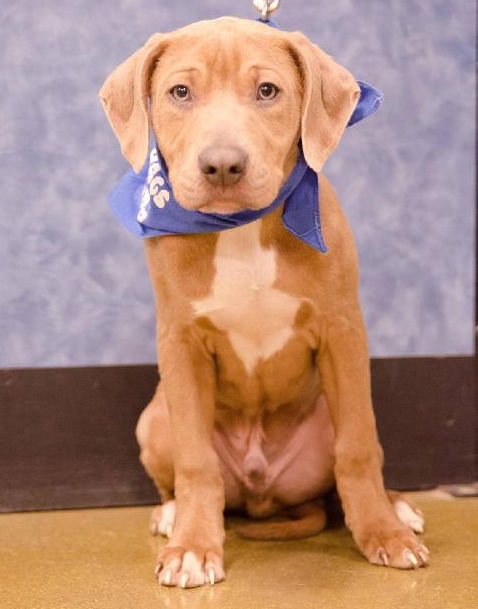 Token - ADOPTED 03.09.14