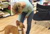 Nina 2 - ADOPTED 06.13.15
