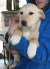 Sk Litter Chance - ADOPTED 03.15.14