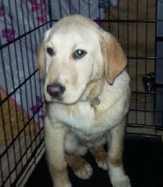 Sk Litter Chance - ADOPTED 03.15.14