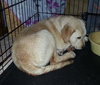 Sk Litter Chance - ADOPTED 03.15.14