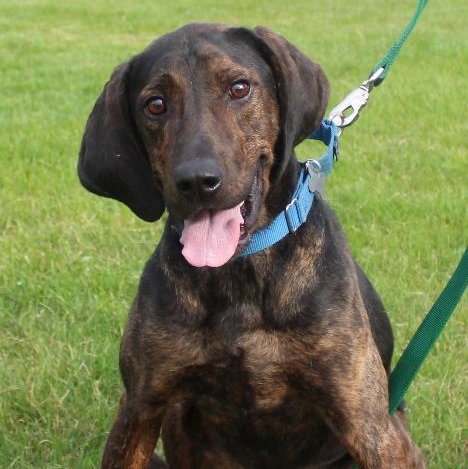 Tk-Marco - ADOPTED 07.12.14