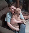 Francis - ADOPTED 04.13.14