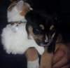 Sweet Peas - ADOPTED 03.29.14