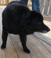 Flanagan - ADOPTED 04.19.14