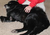 Flanagan - ADOPTED 04.19.14