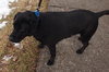 Murray - ADOPTED 06.10.14