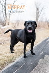 Murray - ADOPTED 06.10.14