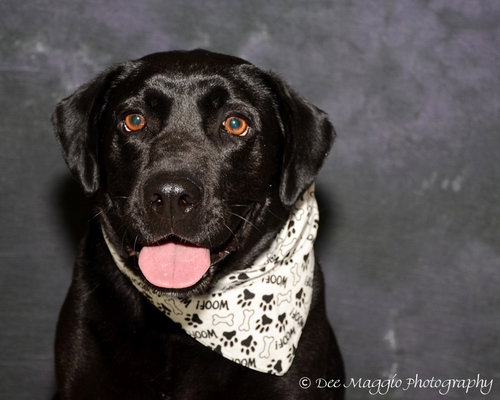 Murray - ADOPTED 06.10.14