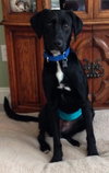 Frederick - ADOPTED 04.27.14