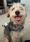 Mindy - ADOPTED 04.27.14