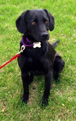 Mylee - ADOPTED 05.03.14