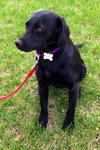 Mylee - ADOPTED 05.03.14