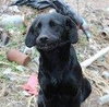 Mylee - ADOPTED 05.03.14