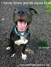 Dl Litter Vance - ADOPTED 09.09.14