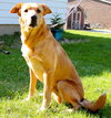 Doe (Dakota) - ADOPTED 04.27.16