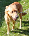 Doe (Dakota) - ADOPTED 04.27.16