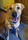 Doe (Dakota) - ADOPTED 04.27.16