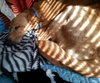 Doe (Dakota) - ADOPTED 04.27.16