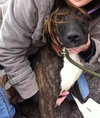 Fl-Misty - ADOPTED 07.25.14
