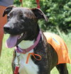 Fl-Misty - ADOPTED 07.25.14