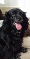 Molly Mae - ADOPTED 05.29.14