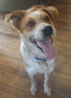 Reno - ADOPTED 05.21.14