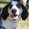 Courage-ADOPTED-3.21.15