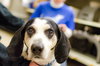 Courage-ADOPTED-3.21.15