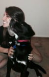 Mason - ADOPTED 03.17.16